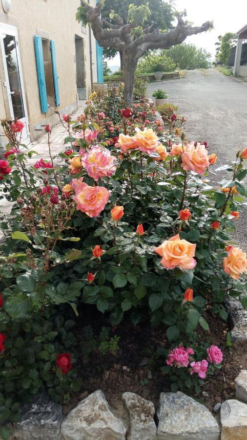 La Vigneronne Bed & Breakfast Villelongue-d'Aude Dış mekan fotoğraf