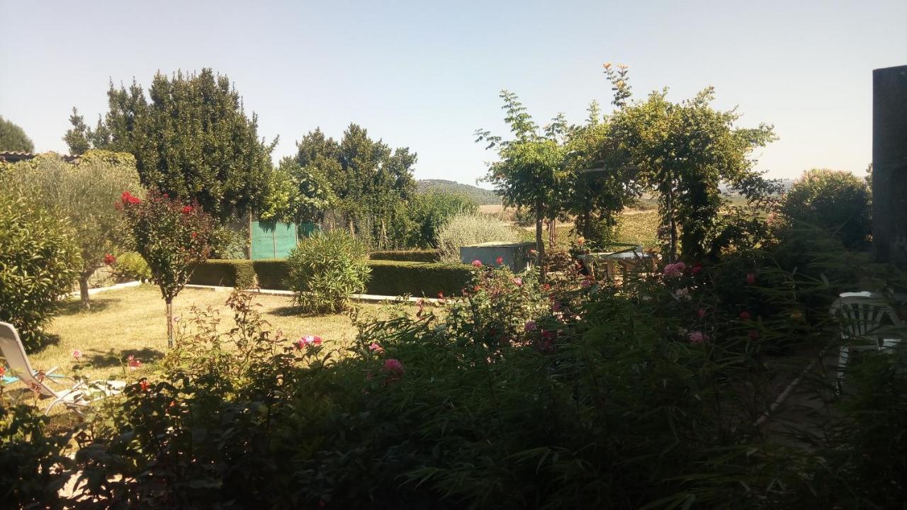 La Vigneronne Bed & Breakfast Villelongue-d'Aude Dış mekan fotoğraf
